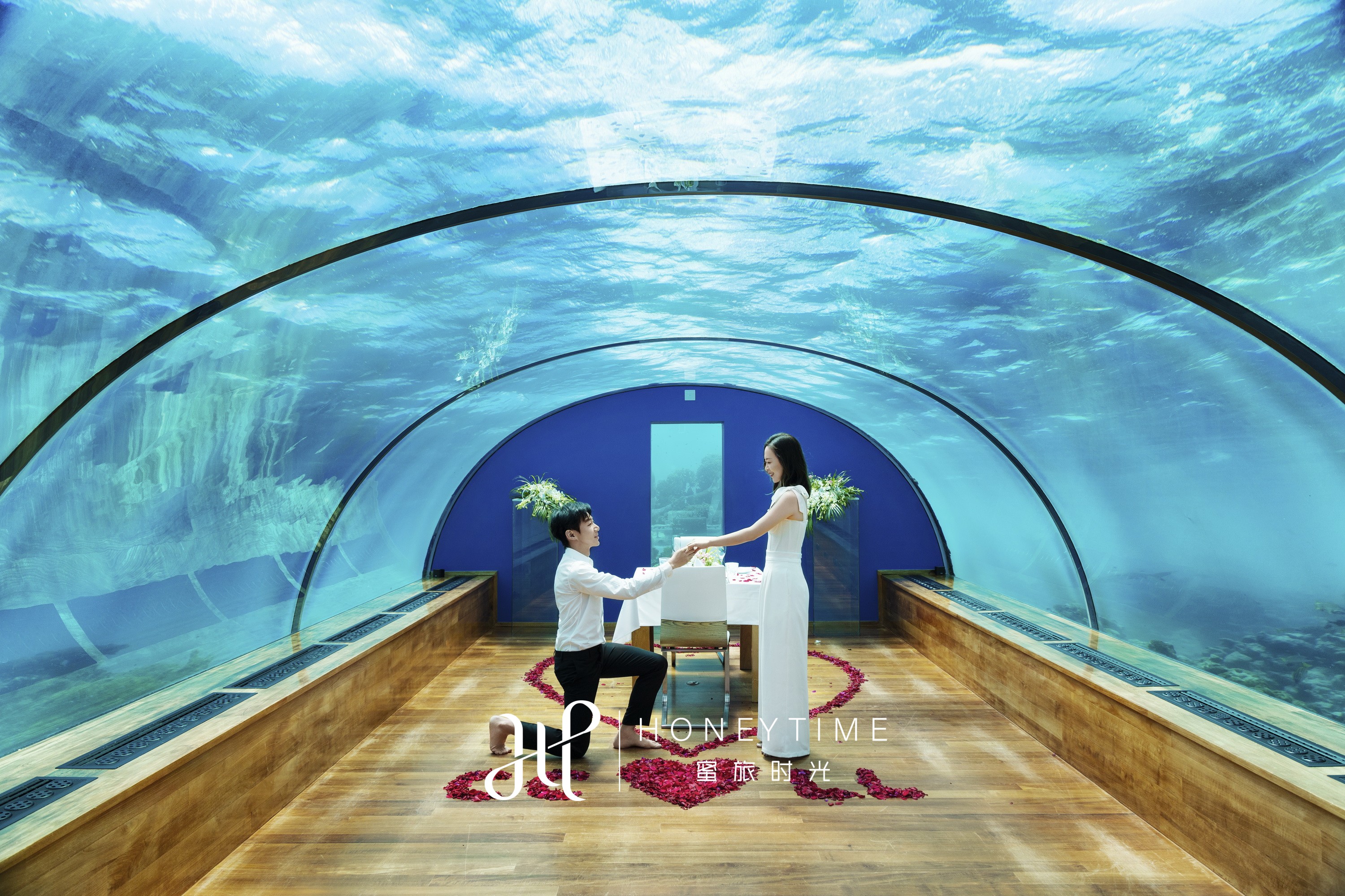 阿雅达岛求婚合集