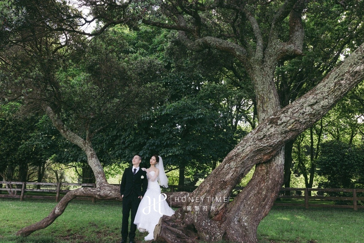 奥克兰教堂婚礼(外景拍摄)