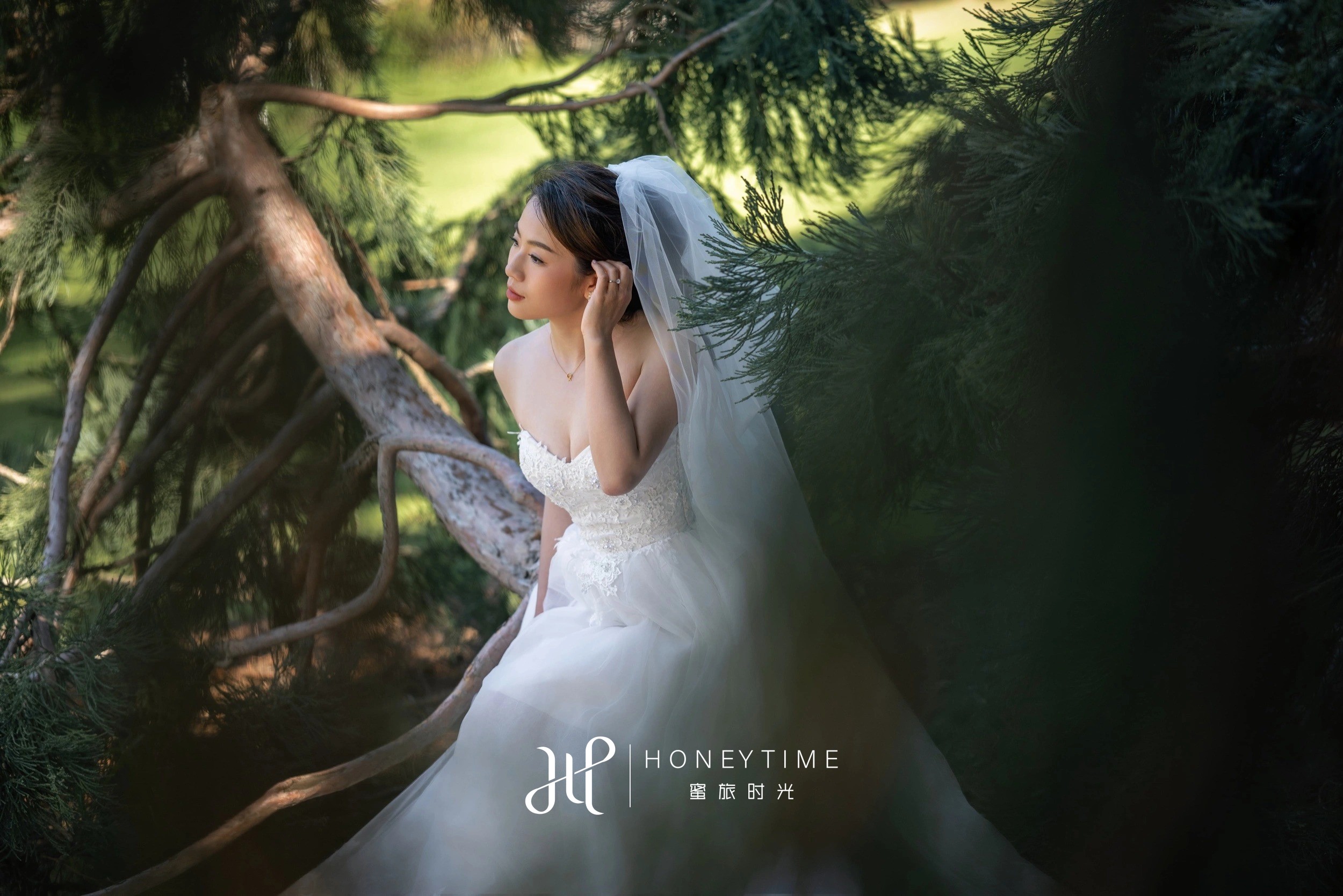 瓦纳卡山顶直升机婚礼(外景拍摄)