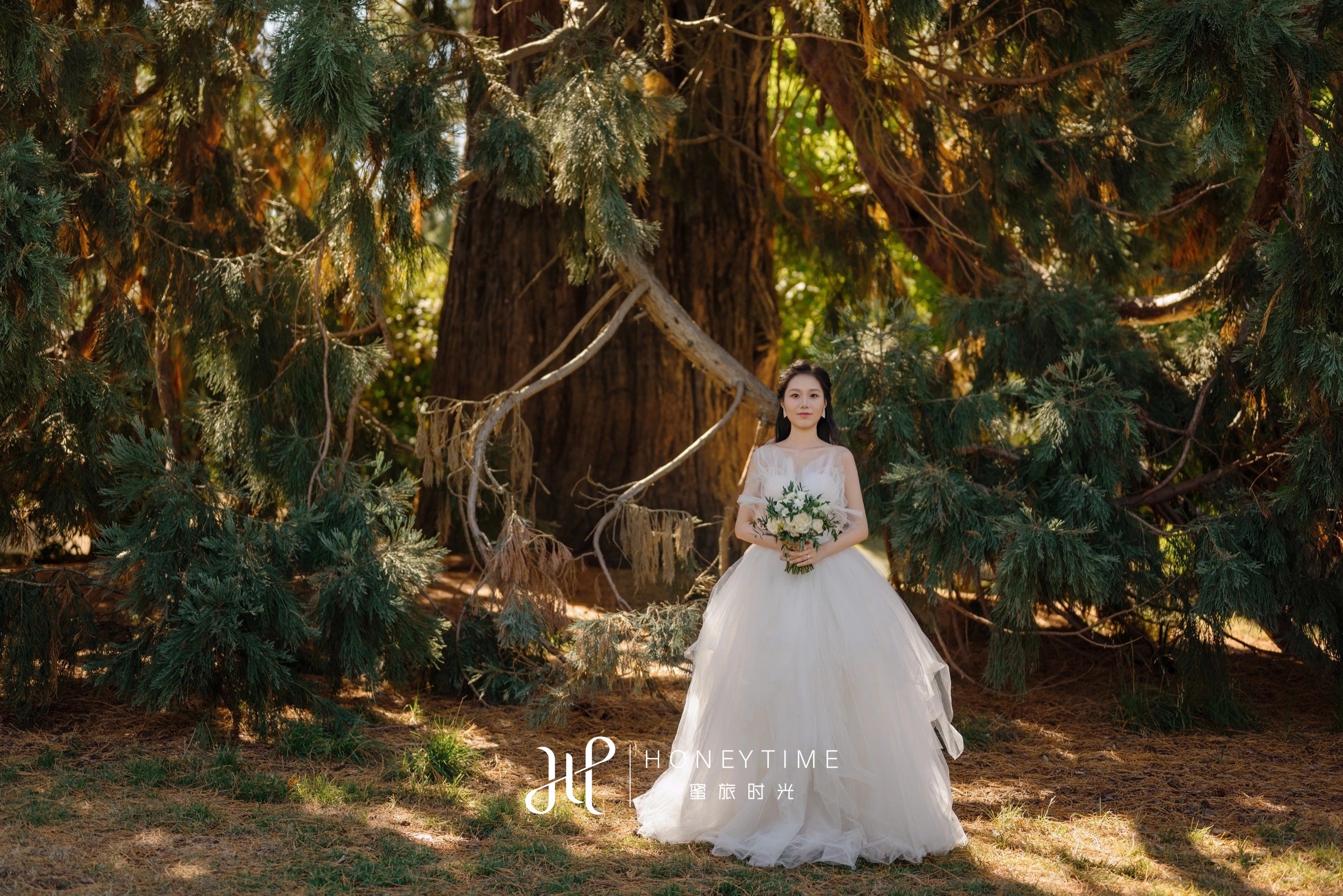 瓦纳卡山顶直升机婚礼(外景拍摄)